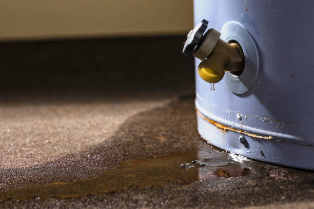 Best Carpet water damage restoration  in Argo, AL