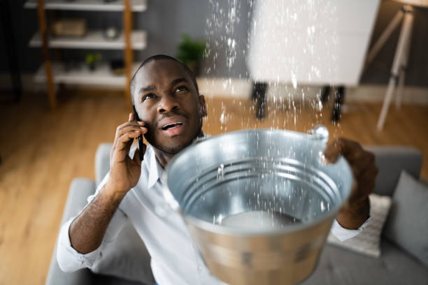 Best Basement water damage restoration  in Argo, AL