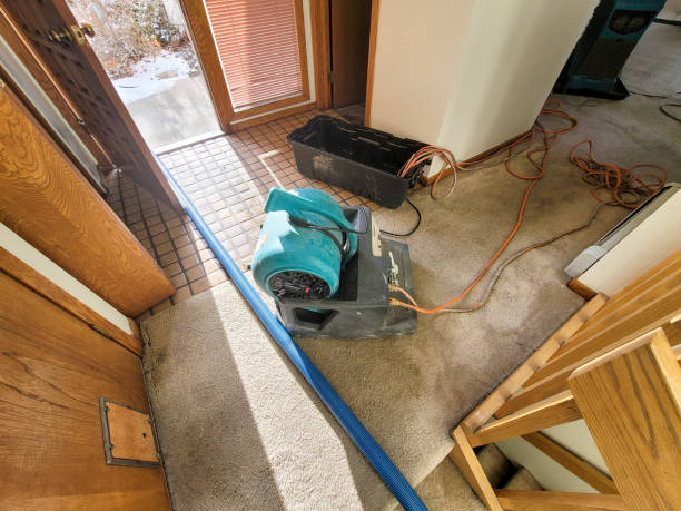 Professional Water damage restoration in Argo, AL