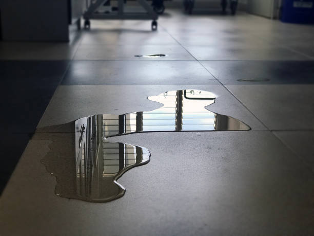 Best Water damage restoration specialists  in Argo, AL
