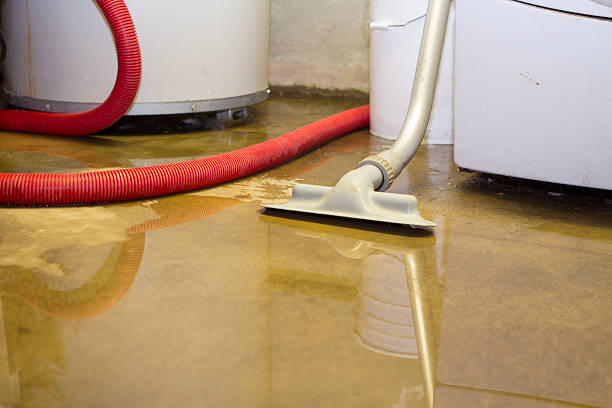 Best Water damage restoration company  in Argo, AL